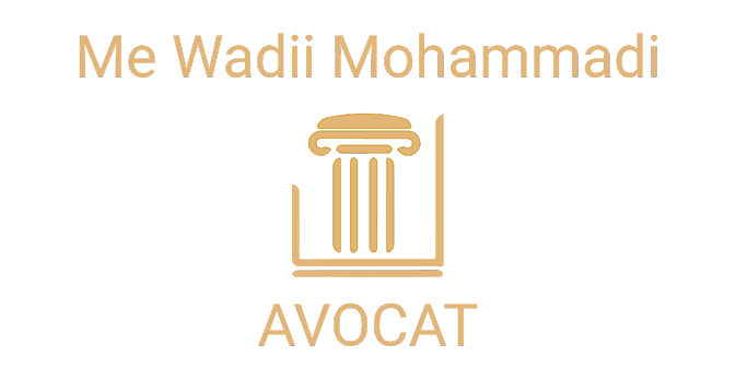 Logo de Me Wadii Mohammadi, avocat à Montréal